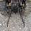 cub-cadet-7254-image-5