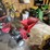 #6167-•-mtd-shred-it-wood-chipper-image-1