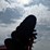 case-ih-3950-image-58