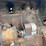 allis-chalmers-20-35-image-11