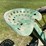 john-deere-b-image-29