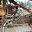 chisholm-ryder-high-crop-image-36