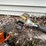 #6155-•-(3)-pole-saws-image-5