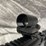 #10804-•-bushmaster-xm15-e2s,-556-nato-semi-auto-rifle,-sn:-bfit007439-image-18