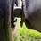 1989-peterbilt-379-image-24