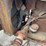fordson-image-17