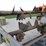 new-idea-362-image-9