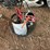 #1237-•-vintage-egg-bucket-with-various-tools-image-1