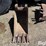 420-backhoe-bucket-image-2