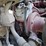 2014-freightliner-m2-106-image-14