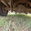 1998-dodge-ram-3500-image-12