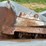 #52640-•-hutchinson-86'-grain-conveyor-945521-inv#52640-image-53