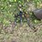 #6114-•-cultivator-attachment-image-2