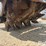 2000-caterpillar-pc4-cold-planer-image-17