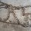 #1241-•-(2)-sets-of-tire-chains-image-9