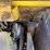 yanmar-yb22-image-32