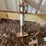 #1243-•-tow-bar-image-11