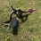 #415-•-single-bottom-plow-image-3