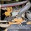 2020-caterpillar-299d3-image-16