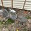 #6143-•-(3)-metal-mesh-fishing-nets-image-2