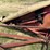 #420-•-mccormick-corn-picker-image-14
