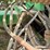 john-deere-40-image-81