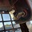 2014-caterpillar-226b3-image-29