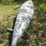 #414-•-17-foot-aluminum-canoe-image-6