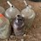 #1239-•-(8)-vintage-glass-bottles-and-jars-image-4