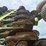 john-deere-40-image-92