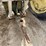john-deere-g-image-19