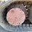 2004-bobcat-331g-image-22