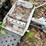 #6103-•-kar-kaddy-ss-tow-dolly-(sells-bill-of-sale)-image-8