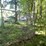 #6181-•-dog-kennel-image-5