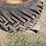 #89-•-31x15.50-15-4-ply-tires-x2-image-2
