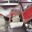 1998-broce-611-windrow-machine-image-15
