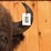 offsite---buffalo-mount-image-3