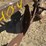 #404-•-antique-two-bottom-plow-image-5