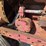 farmall-300-gas-image-44