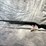 #10655-•-impala-plus-nero-s-,-12-ga.-semi-auto-shotgun,-sn:-60-h23yt-002555-image-3