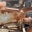 massey-harris-pony-image-16