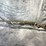 #10650-•-winchester-sx4,-12-ga.-semi-auto-shotgun,-sn:-pt26493yy11k-image-3