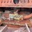 cletrac-crawler-image-26