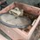 ford-model-t-image-11