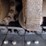16-leeboy-8515d-asphalt-paver-(qea-4018)-image-22
