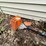#6155-•-(3)-pole-saws-image-2