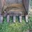 41"-tooth-excavator-bucket-image-9