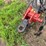 #52651-•-case-ih-335-vt-38'-vertical-tillage-tool-yfd079741-inv#52651-image-55