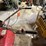 #6166-•-honda-tiller-fr700-image-7