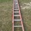 #180-•-x3-extendable-ladder-image-1